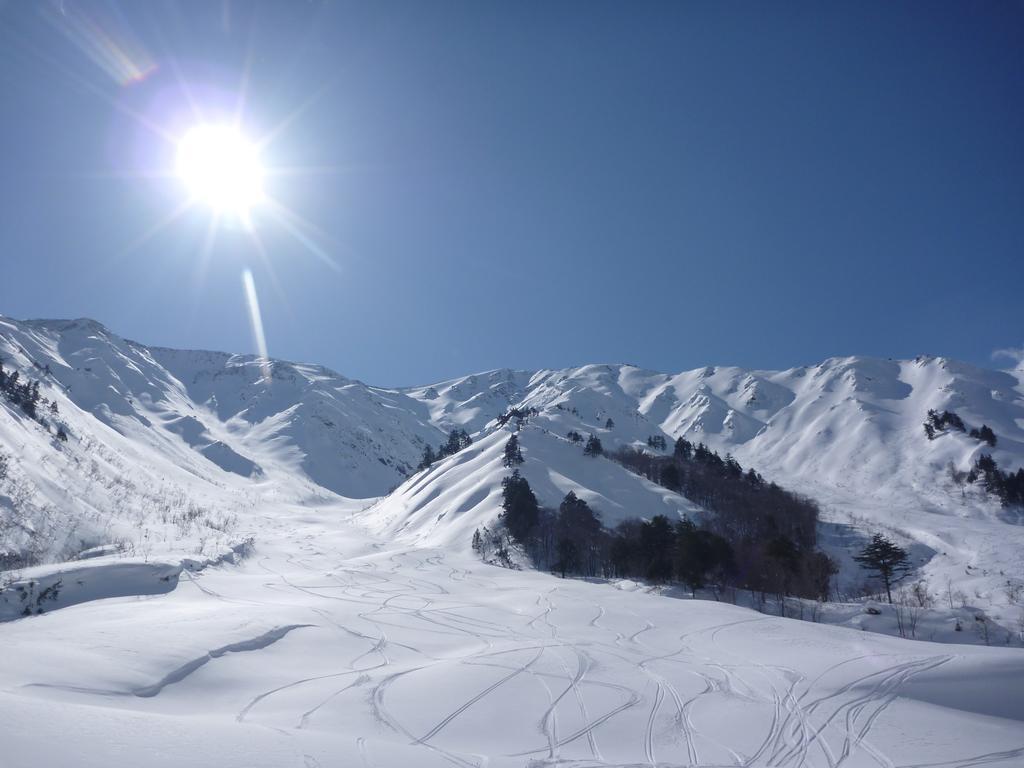 Zen Chalets Hakuba Extérieur photo